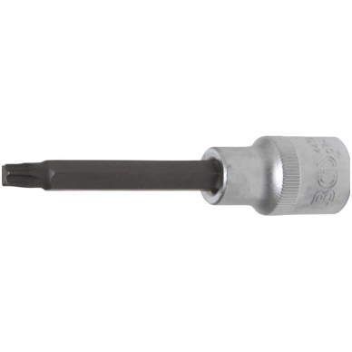 Antgalis įpresuotas į galvutę ilgis 100mm.12,5mm (1/2") T-star (Torx) T40