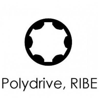 Antgalis Polydrive Ribe T52 x 168 mm 1