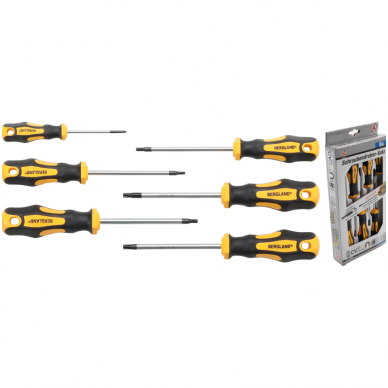 Atsuktuvų rinkinys T-Star (Torx) T10-T30 6vnt.