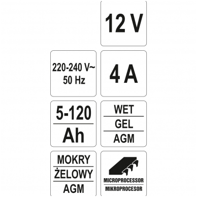 Elektroninis įkroviklis 12V/4A 5