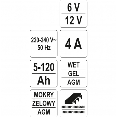 Elektroninis įkroviklis 6-12V/4A 5