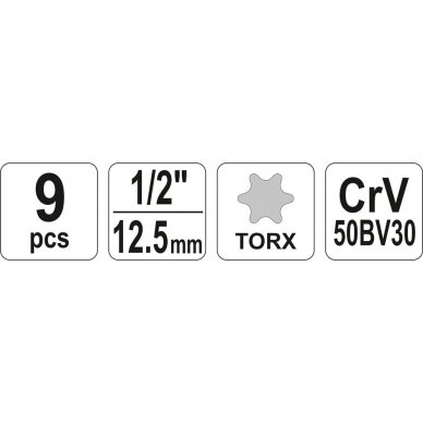 Galvučių rinkinys E-tipas 12,5 mm. E10 - E24 9vnt. 4