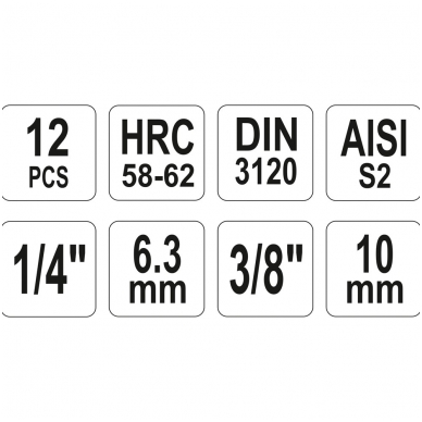 Įpresuotų antgalių rinkinys 1/4"+3/8", 12vnt T-Star, T8-T55 1