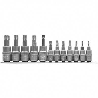 Įpresuotų antgalių rinkinys 1/4"+3/8", 12vnt T-Star, T8-T55