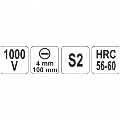 Izoliuotas atsuktuvas elektrikui 1000V 4x100mm. 2