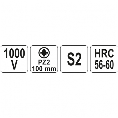 Izoliuotas atsuktuvas elektrikui 1000V PZ2x100mm. 2