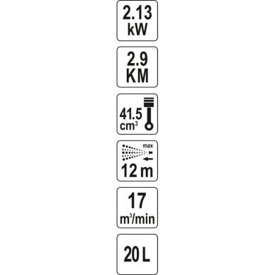 Purkštuvas benzininis 20L. 2,9kM 4