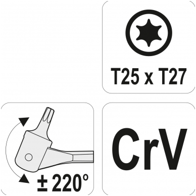 Raktas šarnyrinis dvipusis - T-Star (Torx) T25XT27 2