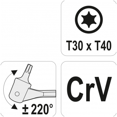 Raktas šarnyrinis dvipusis - T-Star (Torx) T30XT40 3