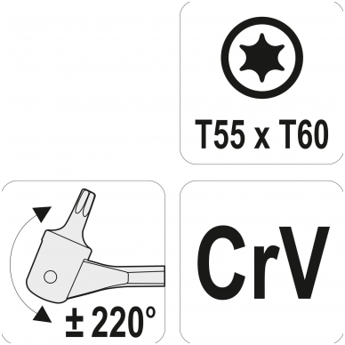 Raktas šarnyrinis dvipusis - T-Star (Torx) T55XT60 2