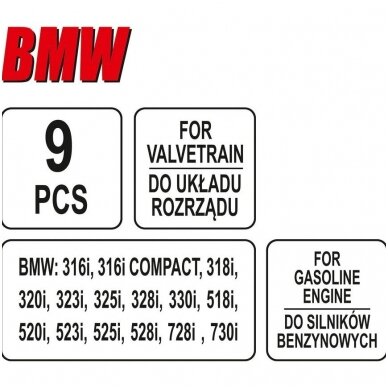 Variklio fiksavimo rinkinys BMW Double Vanos M52TU, M54, M56 2